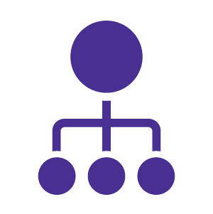 carrier purple icon