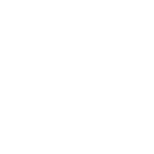 backhaul icon